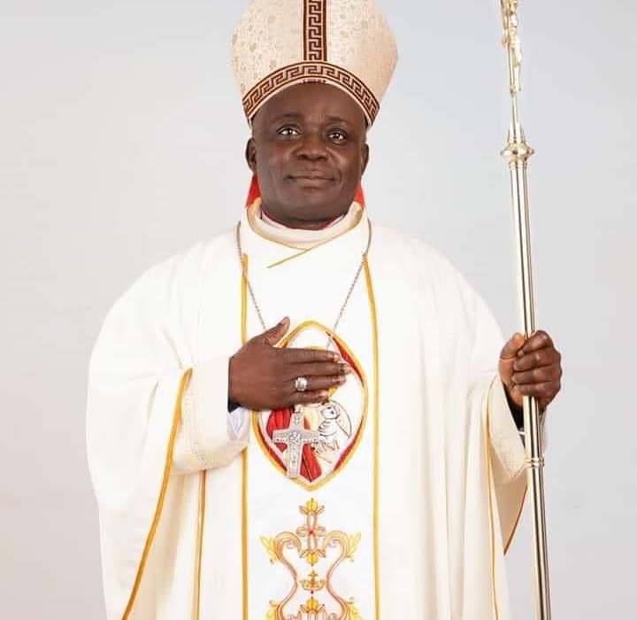 Pope Francis Names Nwobi,  Bishop For Ahiara Diocese